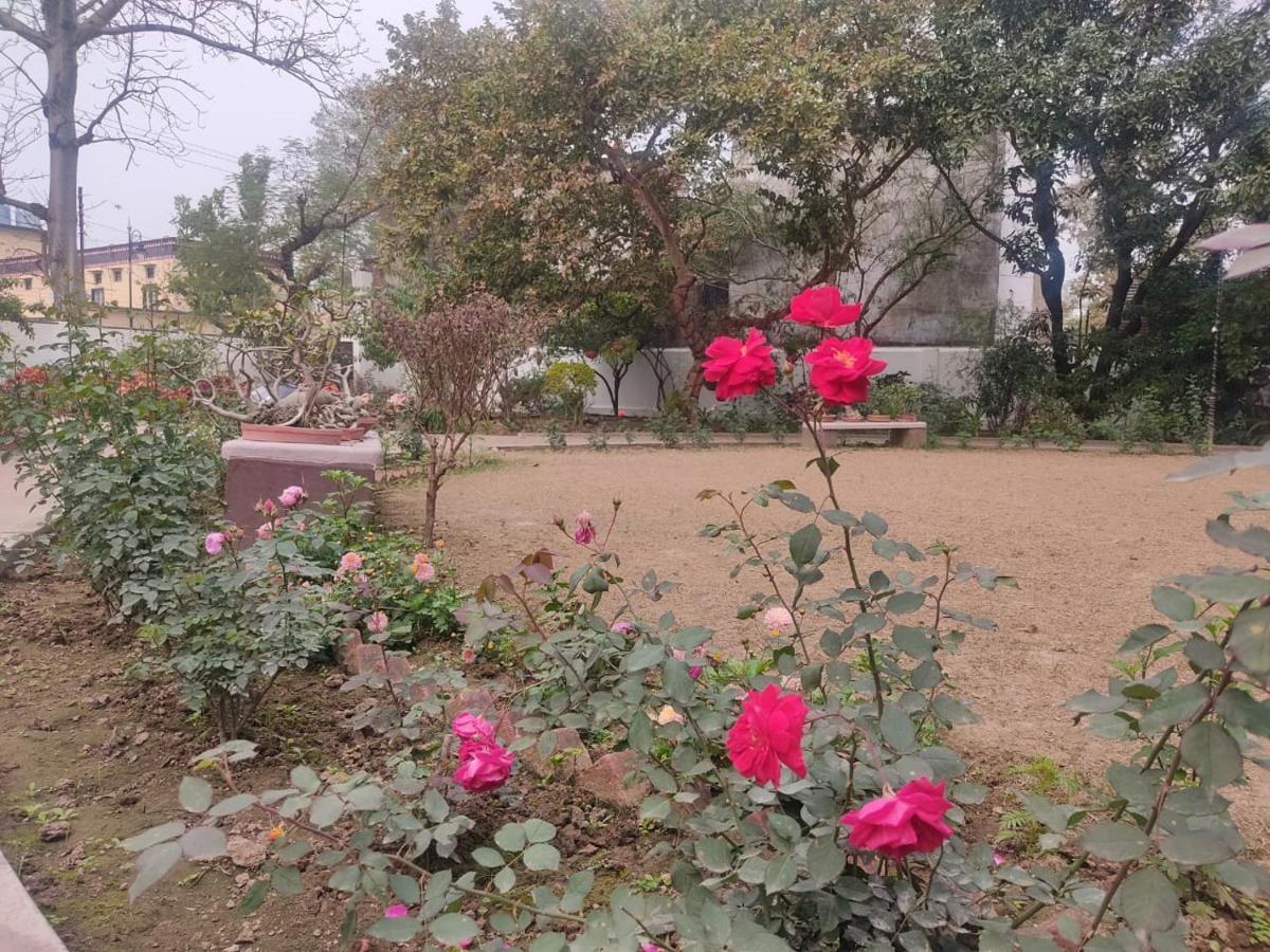 Vatika Homestay Βαρανάσι Εξωτερικό φωτογραφία